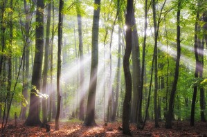 When the sun shine on your way